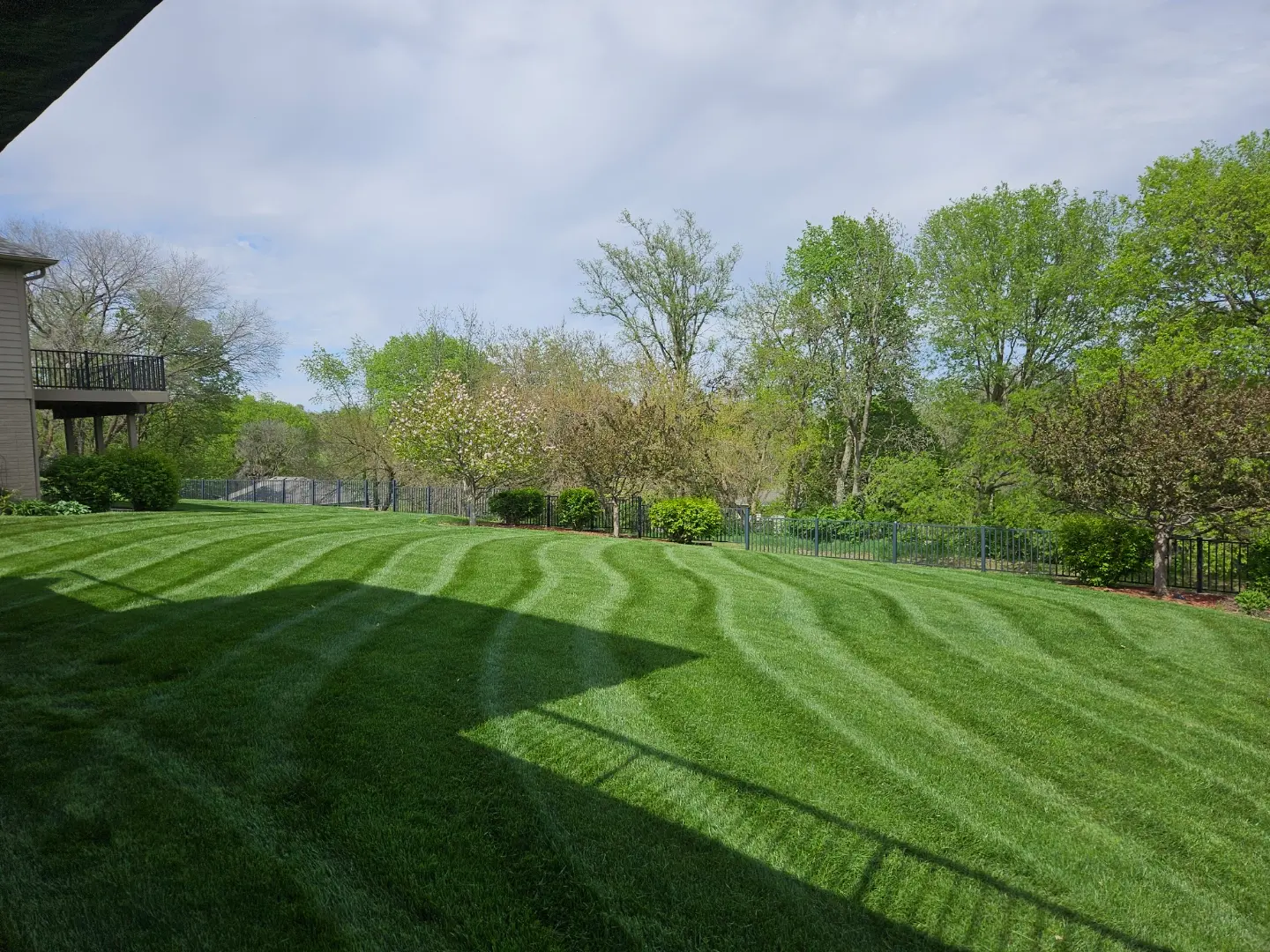 Lawn care work by Buthe's Turf
