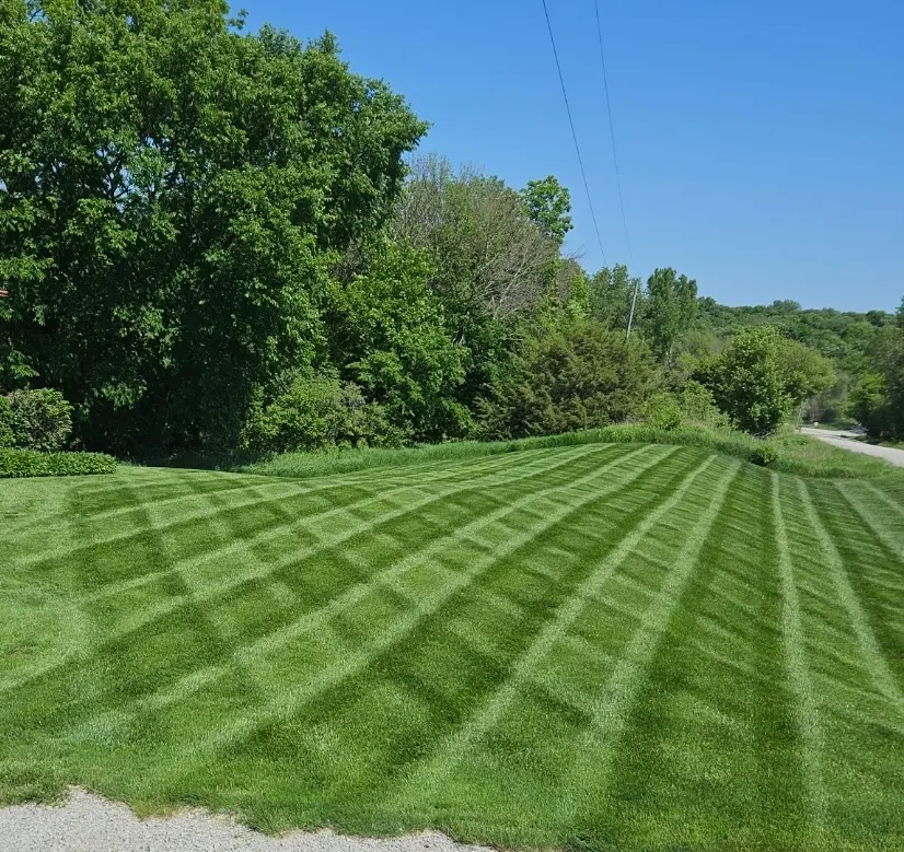 Lawn care work by Buthe's Turf