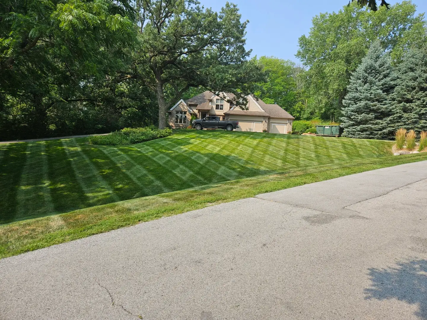 Lawn Treatment Programs results