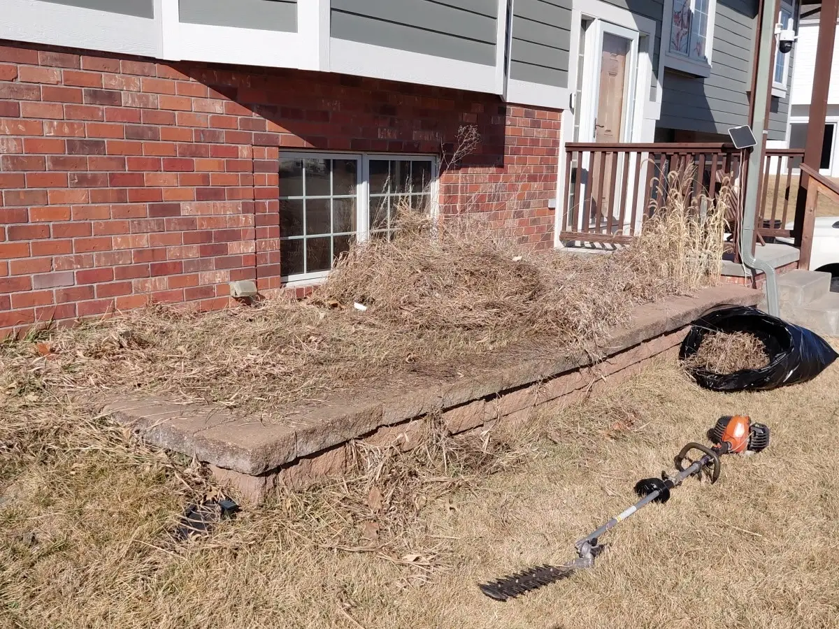 Landscape Bed Maintenance before - Buthe's Turf