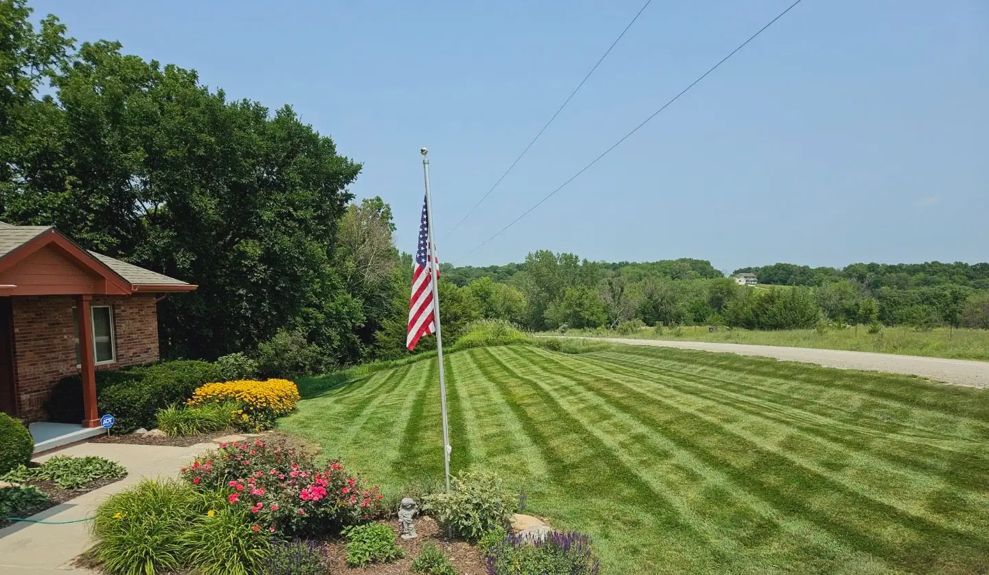 Beautiful lawn care results