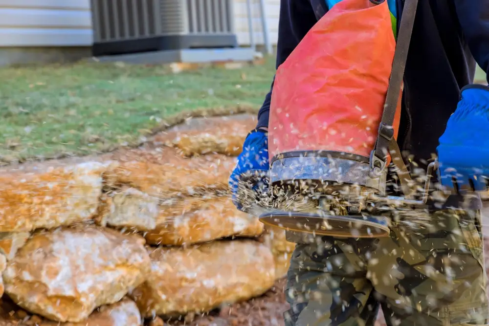 Overseeding by Buthe's Turf