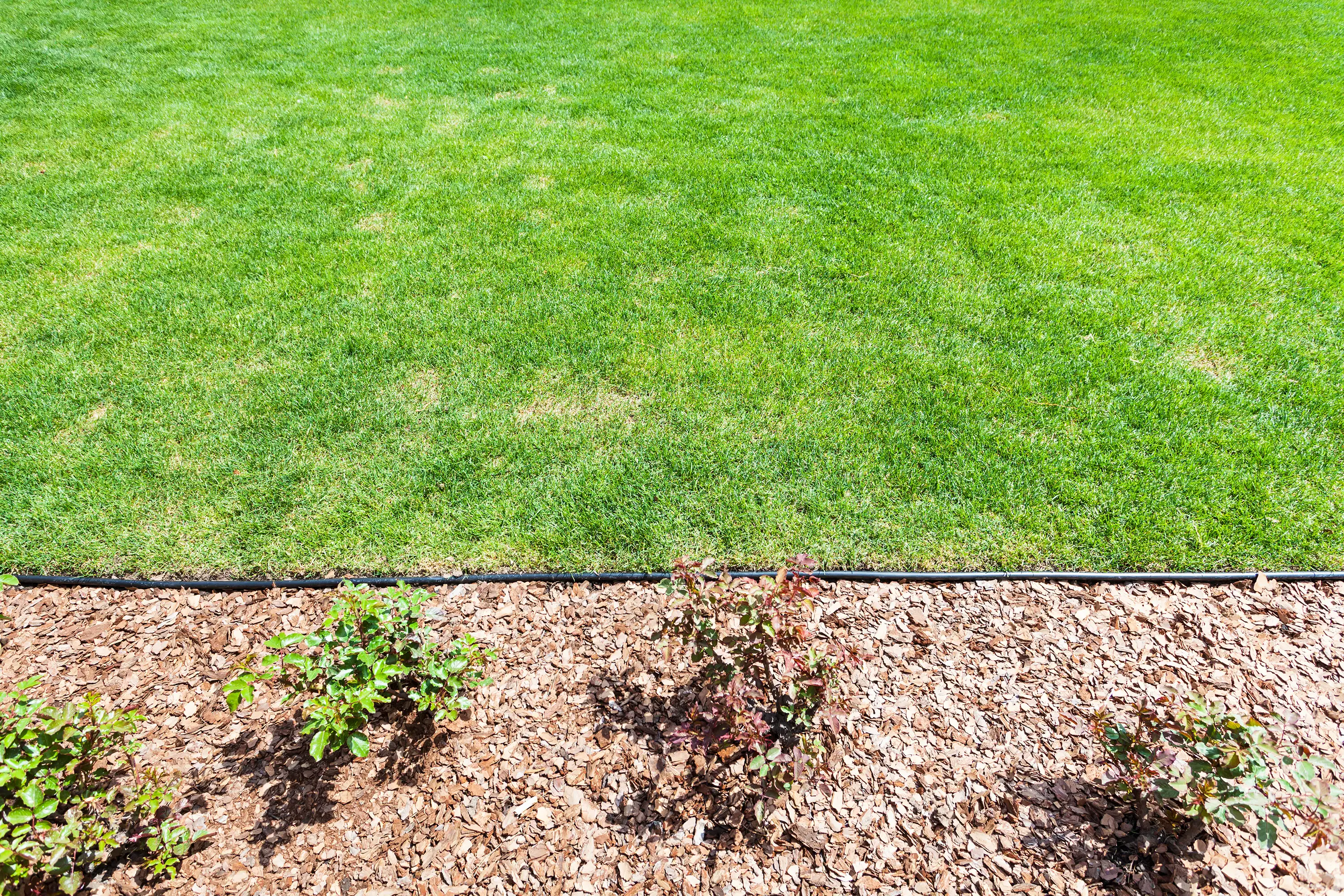 Spring Cleanup results